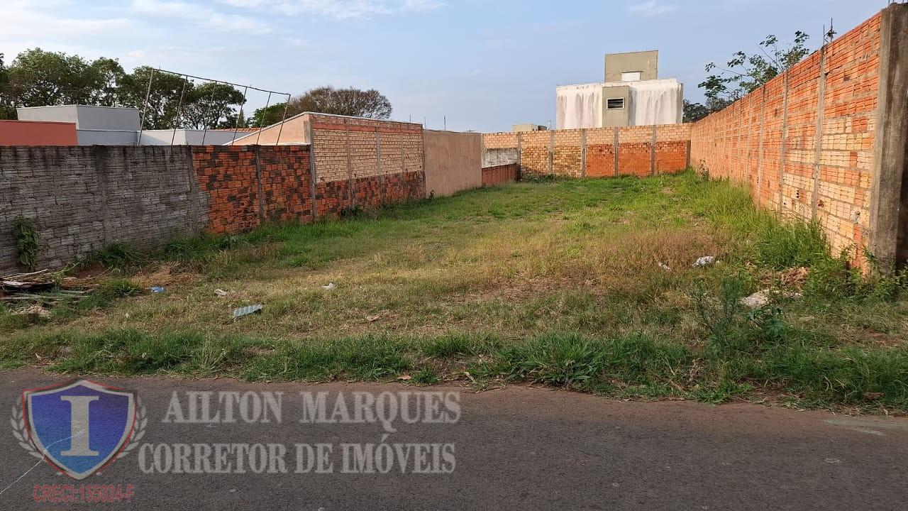 imagem-miniatura