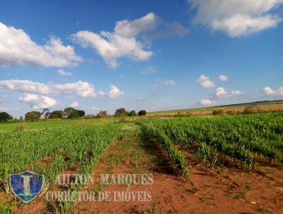 S�tio para Venda, em Avar�, bairro RURAL