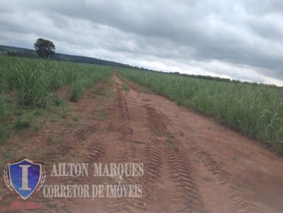 Fazenda para Venda, em Avar�, bairro RURAL