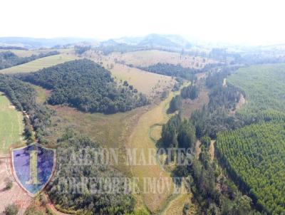 S�tio para Venda, em Avar�, bairro RURAL