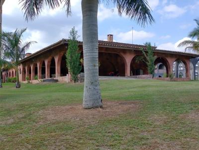 Haras para Venda, em Sarapu�, bairro RURAL