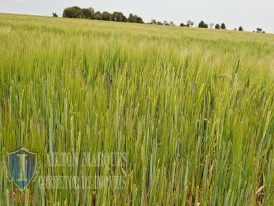Fazenda para Venda, em Avar�, bairro RURAL
