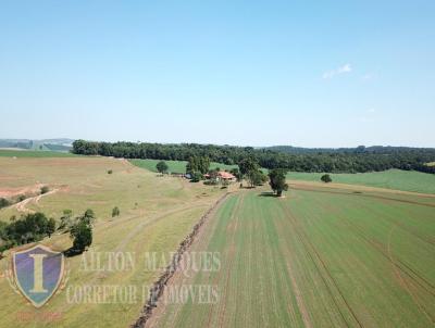 Fazenda para Venda, em Paranapanema, bairro RURAL, 7 banheiros, 6 su�tes, 10 vagas