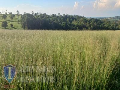 Ch�cara para Venda, em Avar�, bairro RURAL
