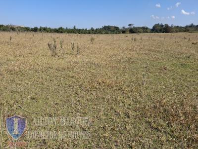 Terreno Comercial para Venda, em Avar�, bairro PAINEIRAS