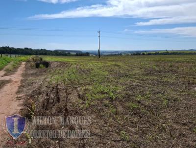 Fazenda para Venda, em Avar�, bairro RURAL