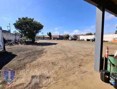 Terreno Comercial para Venda, em Avar�, bairro PAINEIRAS