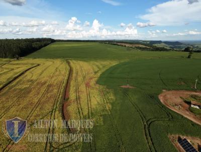 Fazenda para Venda, em Avar�, bairro RURAL